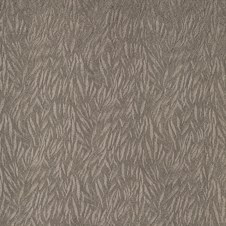 Media_00