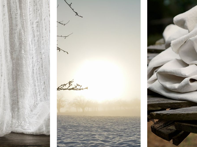 Winter Whites Edit
