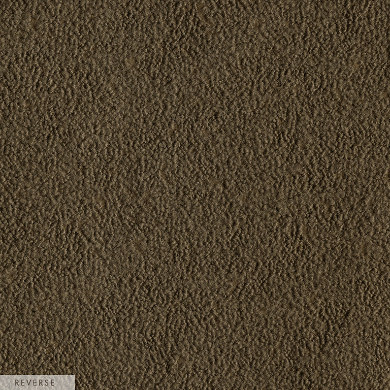 Picture2