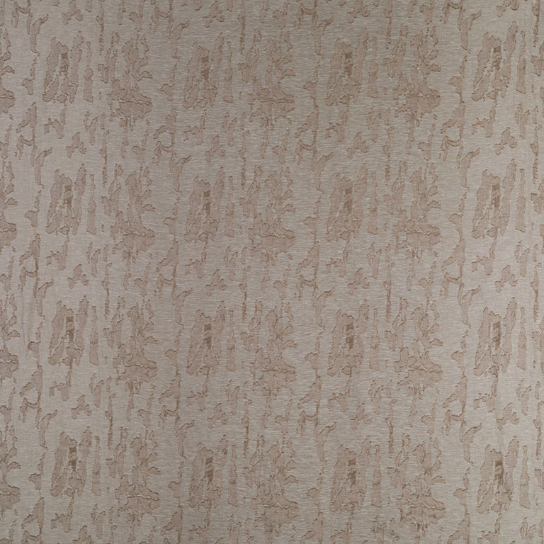 Picture1