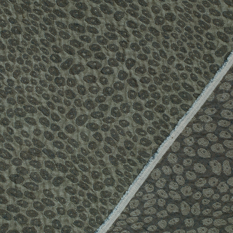 Picture1